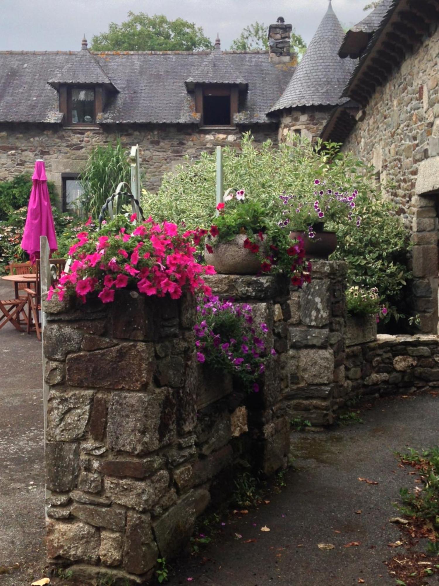 Le Petit Chateau, Matisse Noyal-Pontivy Dış mekan fotoğraf