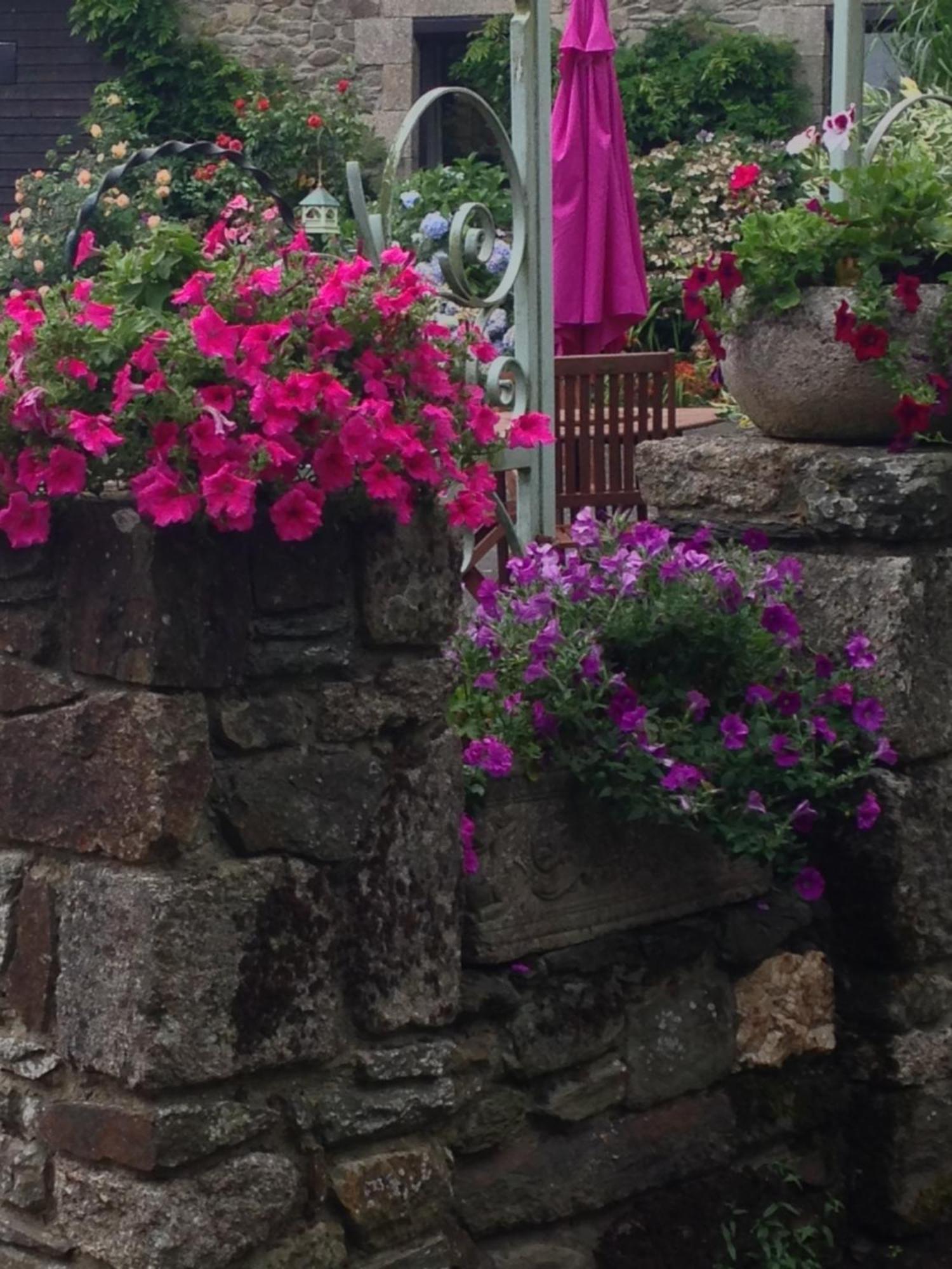 Le Petit Chateau, Matisse Noyal-Pontivy Dış mekan fotoğraf