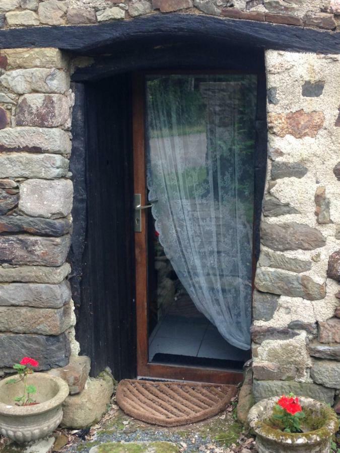 Le Petit Chateau, Matisse Noyal-Pontivy Dış mekan fotoğraf